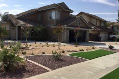 Drought-tolerant-landscape.-1