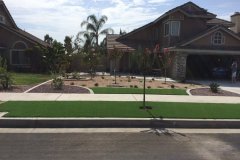 Drought-tolerant-landscape
