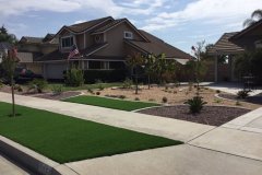 drought-tolerant-landscape.-2