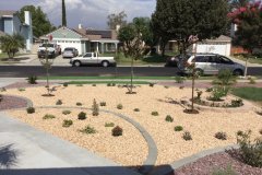 drought-tolerant-landscape.-4