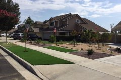 drought-tolerant-landscape.-6