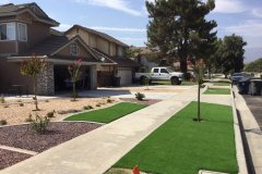 drought-tolerant-landscape.-7